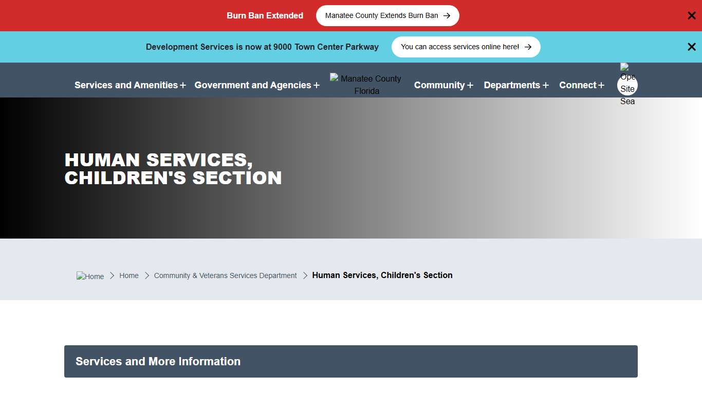 Human Services, Children's Section